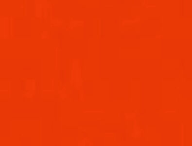 crazy orange mit Korb